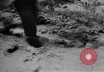 Immagine di Seabees Isole Salomone, 1943, secondo 41 filmato di repertorio 65675044971