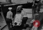 Immagine di Seabees Isole Salomone, 1943, secondo 52 filmato di repertorio 65675044971
