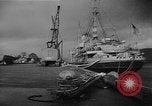Immagine di Seabees Algeria, 1943, secondo 39 filmato di repertorio 65675044972