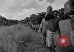 Image of United States Marines Guadalcanal Solomon Islands, 1942, second 51 stock footage video 65675044977