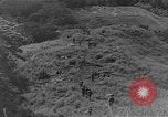 Image of United States Marines Guadalcanal Solomon Islands, 1942, second 61 stock footage video 65675044977