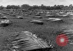 Image of United States Marines Guadalcanal Solomon Islands, 1942, second 1 stock footage video 65675044978