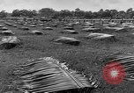 Image of United States Marines Guadalcanal Solomon Islands, 1942, second 3 stock footage video 65675044978