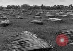 Image of United States Marines Guadalcanal Solomon Islands, 1942, second 4 stock footage video 65675044978