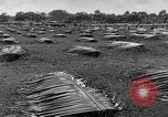 Image of United States Marines Guadalcanal Solomon Islands, 1942, second 6 stock footage video 65675044978