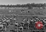 Image of United States Marines Guadalcanal Solomon Islands, 1942, second 44 stock footage video 65675044978