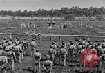 Image of United States Marines Guadalcanal Solomon Islands, 1942, second 45 stock footage video 65675044978