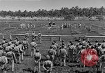 Image of United States Marines Guadalcanal Solomon Islands, 1942, second 46 stock footage video 65675044978