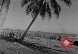 Image of American troop reinforcements and supplies  arriving on Guadalcanal Guadalcanal Solomon Islands, 1943, second 25 stock footage video 65675044980
