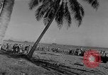 Image of American troop reinforcements and supplies  arriving on Guadalcanal Guadalcanal Solomon Islands, 1943, second 27 stock footage video 65675044980