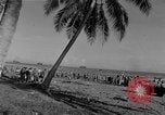 Image of American troop reinforcements and supplies  arriving on Guadalcanal Guadalcanal Solomon Islands, 1943, second 29 stock footage video 65675044980