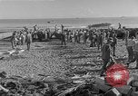 Image of American troop reinforcements and supplies  arriving on Guadalcanal Guadalcanal Solomon Islands, 1943, second 38 stock footage video 65675044980