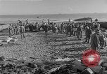 Image of American troop reinforcements and supplies  arriving on Guadalcanal Guadalcanal Solomon Islands, 1943, second 39 stock footage video 65675044980