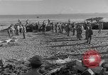 Image of American troop reinforcements and supplies  arriving on Guadalcanal Guadalcanal Solomon Islands, 1943, second 41 stock footage video 65675044980