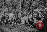 Image of Carlson's Raiders Guadalcanal Solomon Islands, 1942, second 4 stock footage video 65675044981