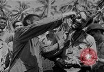 Image of Carlson's Raiders Guadalcanal Solomon Islands, 1942, second 24 stock footage video 65675044981