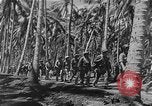 Image of United States Marines Guadalcanal Solomon Islands, 1942, second 24 stock footage video 65675044982