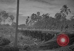 Image of United States Marines Guadalcanal Solomon Islands, 1942, second 46 stock footage video 65675044982