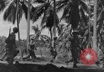 Image of United States Marines Guadalcanal Solomon Islands, 1942, second 49 stock footage video 65675044982