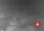 Image of U.S. Navy Task Force 8 attacking Japanese in Marshall Islands Pacific Ocean, 1942, second 43 stock footage video 65675044983