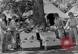 Standbild Vereinigten Staaten Marines Guadalcanal Salomonen, 1943, aus Sekunde 9 historischem Filmmaterial Videoclip 65675044987