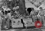 Standbild Vereinigten Staaten Marines Guadalcanal Salomonen, 1943, aus Sekunde 11 historischem Filmmaterial Videoclip 65675044987