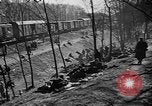 Standbild befreite Juden Deutschland, 1945, aus Sekunde 56 historischem Filmmaterial Videoclip 65675044999