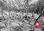 Standbild befreite Juden Deutschland, 1945, aus Sekunde 50 historischem Filmmaterial Videoclip 65675045001