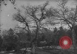 Image of Cassino Monastery Italy, 1944, second 4 stock footage video 65675045011