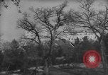 Image of Cassino Monastery Italy, 1944, second 6 stock footage video 65675045011