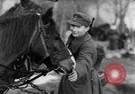 Immagine di I soldati tedeschi La Russia, 1944, secondo 17 filmato di repertorio 65675045013