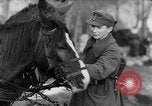 Immagine di I soldati tedeschi La Russia, 1944, secondo 18 filmato di repertorio 65675045013
