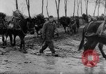 Immagine di I soldati tedeschi La Russia, 1944, secondo 47 filmato di repertorio 65675045013