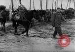 Immagine di I soldati tedeschi La Russia, 1944, secondo 48 filmato di repertorio 65675045013