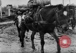 Immagine di I soldati tedeschi La Russia, 1944, secondo 50 filmato di repertorio 65675045013