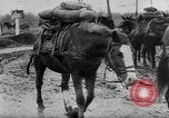 Immagine di I soldati tedeschi La Russia, 1944, secondo 52 filmato di repertorio 65675045013