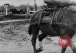 Immagine di I soldati tedeschi La Russia, 1944, secondo 53 filmato di repertorio 65675045013