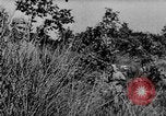 Image of German infantry and artillery Nettuno Italy, 1944, second 5 stock footage video 65675045015