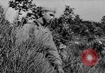 Image of German infantry and artillery Nettuno Italy, 1944, second 6 stock footage video 65675045015