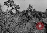 Image of German infantry and artillery Nettuno Italy, 1944, second 7 stock footage video 65675045015