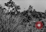 Image of German infantry and artillery Nettuno Italy, 1944, second 8 stock footage video 65675045015