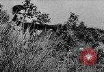 Image of German infantry and artillery Nettuno Italy, 1944, second 9 stock footage video 65675045015