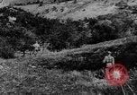 Image of German infantry and artillery Nettuno Italy, 1944, second 16 stock footage video 65675045015