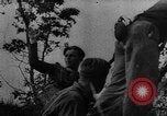 Image of German infantry and artillery Nettuno Italy, 1944, second 25 stock footage video 65675045015