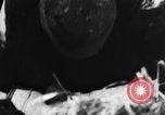 Image of German soldiers Italy, 1944, second 49 stock footage video 65675045018