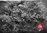 Image of German artillery bombards Allies on beachhead in Italy Anzio Italy, 1944, second 5 stock footage video 65675045021