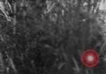 Image of German artillery bombards Allies on beachhead in Italy Anzio Italy, 1944, second 31 stock footage video 65675045021