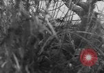 Image of German artillery bombards Allies on beachhead in Italy Anzio Italy, 1944, second 32 stock footage video 65675045021