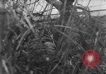 Image of German artillery bombards Allies on beachhead in Italy Anzio Italy, 1944, second 33 stock footage video 65675045021