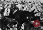 Standbild deutsche Truppen Italien, 1944, aus Sekunde 25 historischem Filmmaterial Videoclip 65675045024
